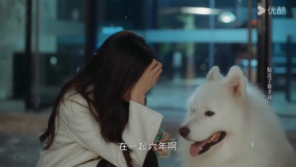 早春晴朗分手
