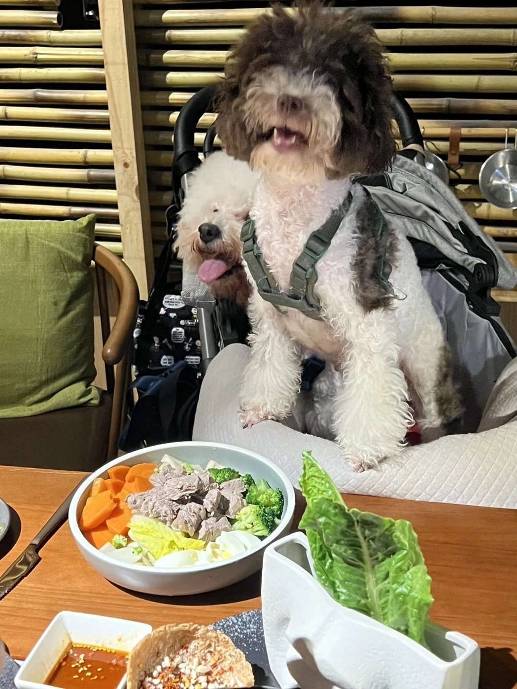 寵物餐廳