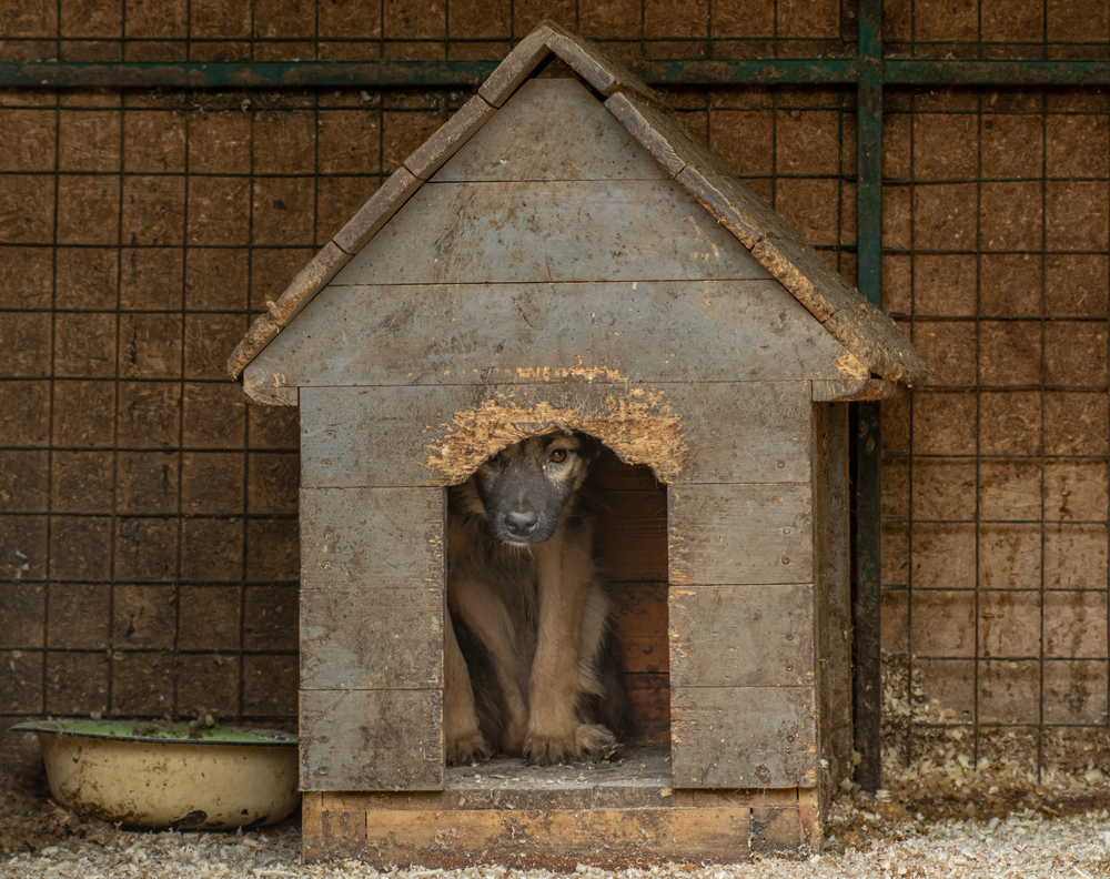 住宅租賃寵物飼養參考約款