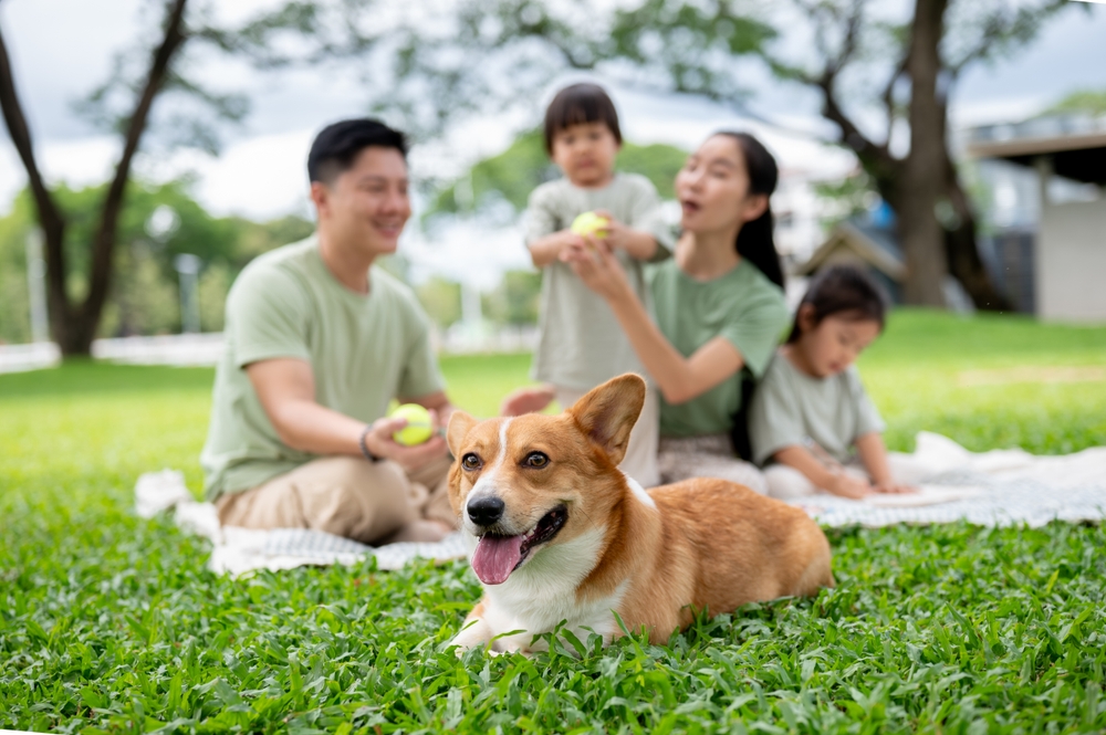 人們對動物的態度反映深層的心理特質