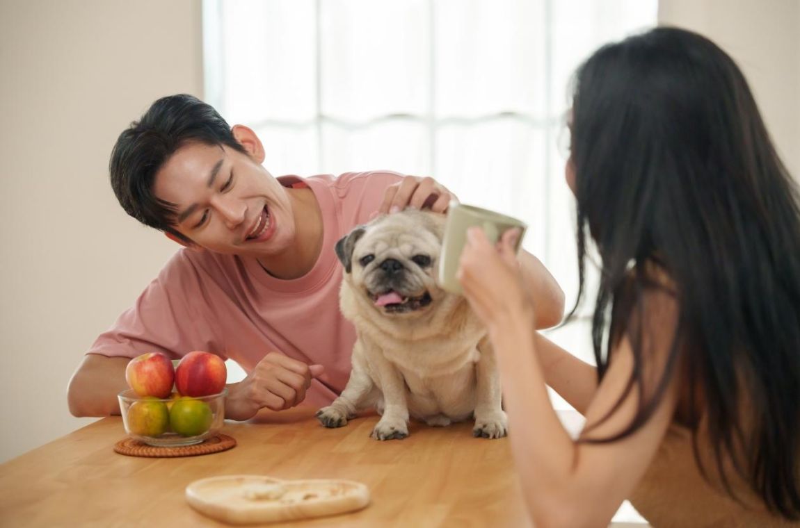 寵物對你的愛情生活有幫助嗎？研究揭示快樂可能延續到伴侶互動