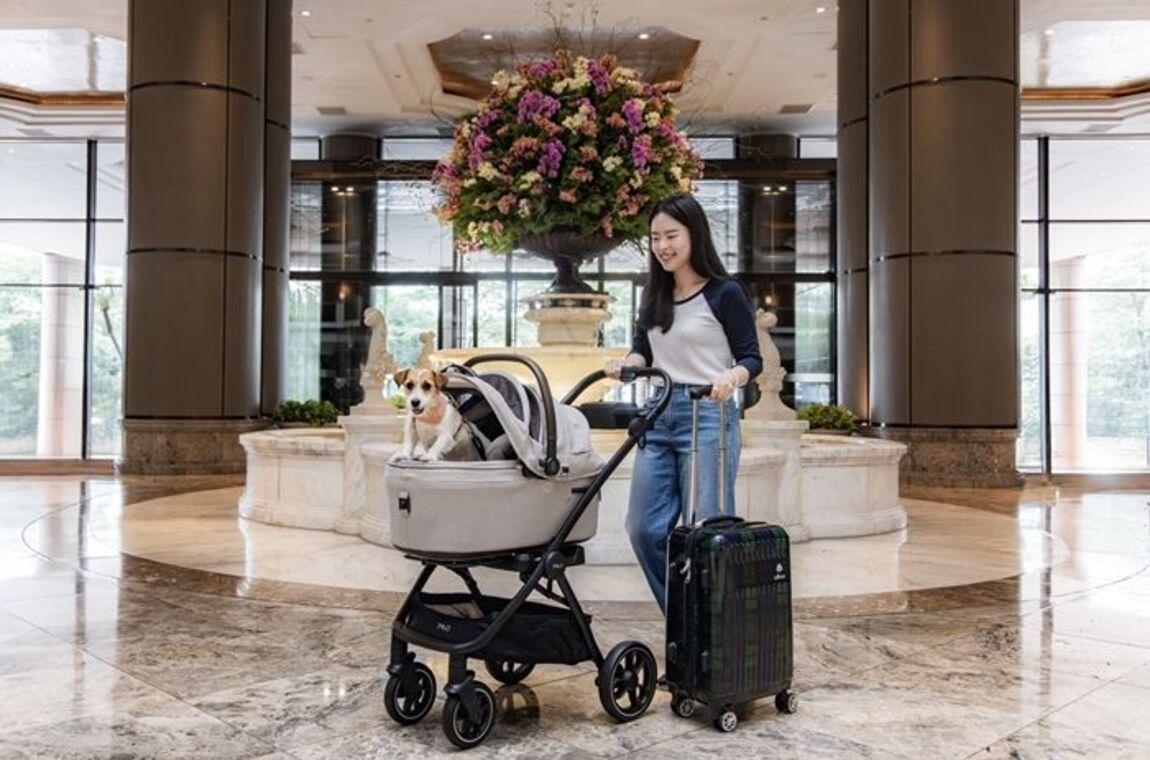 寵寶放暑假！台北君悅酒店 今夏掀「毛孩旅宿熱潮」攜手8大品牌贈迎賓禮、再抽精品級寵物汽座推車組