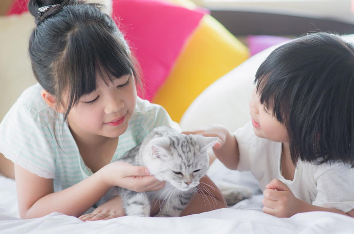 養寵物比養小孩省錢？養10年比一比，價差竟達「一間小套房」
