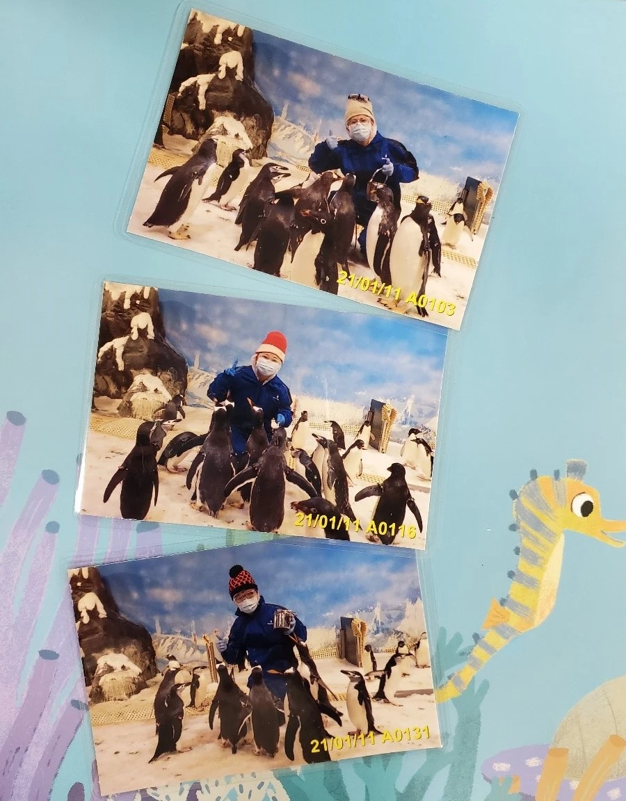 海生館遊客