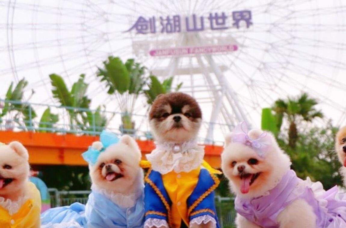 帶毛孩玩樂園！劍湖山世界「毛孩霸山日」每週二登場，一起搭摩天輪超療癒