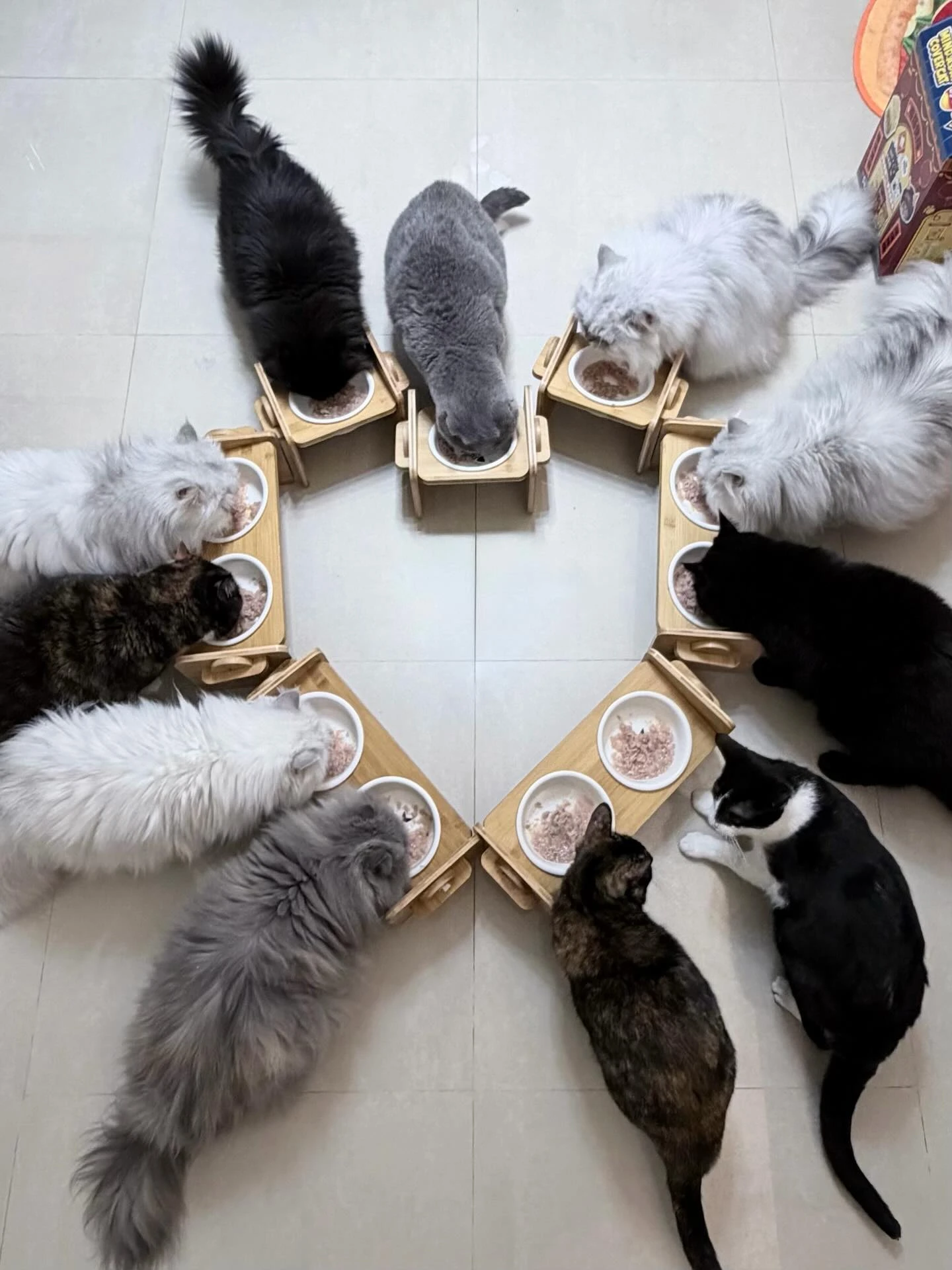 637695593_18034011656781027_8107774674596374417_n