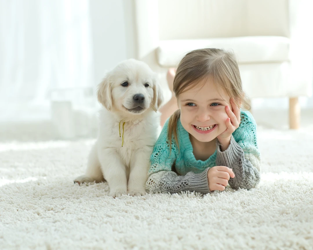 shutterstock_405492349