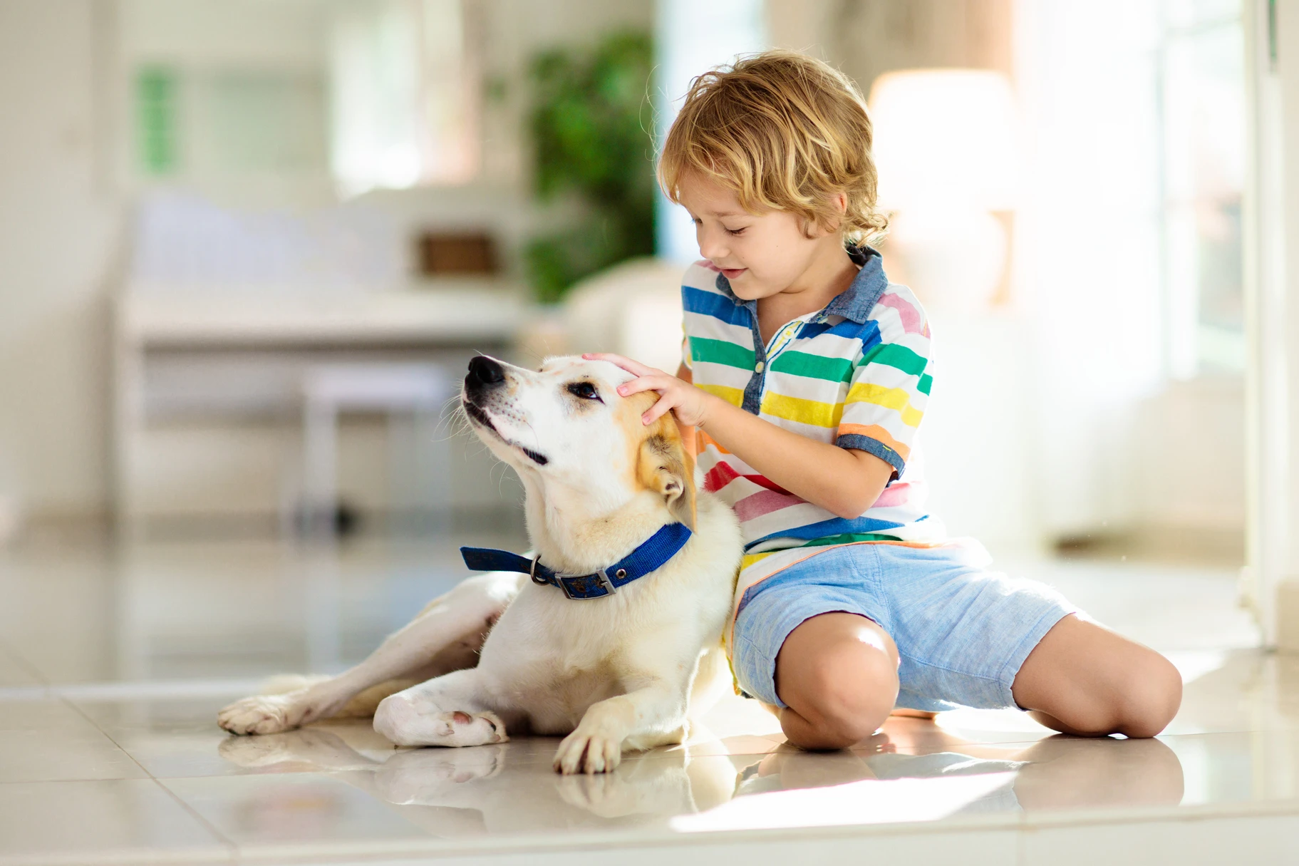 shutterstock_1936054045