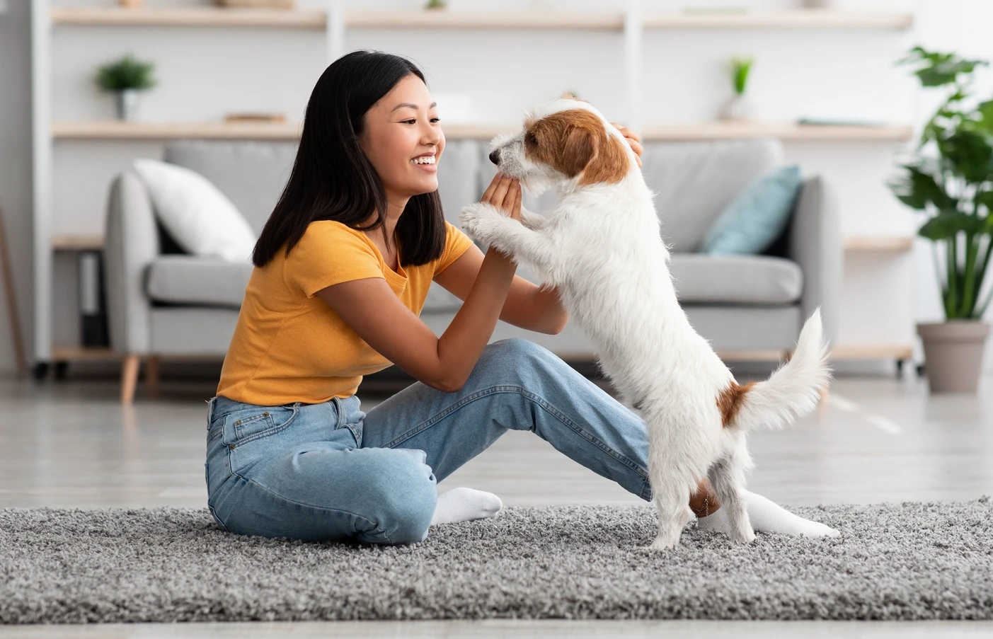 shutterstock_2629682649