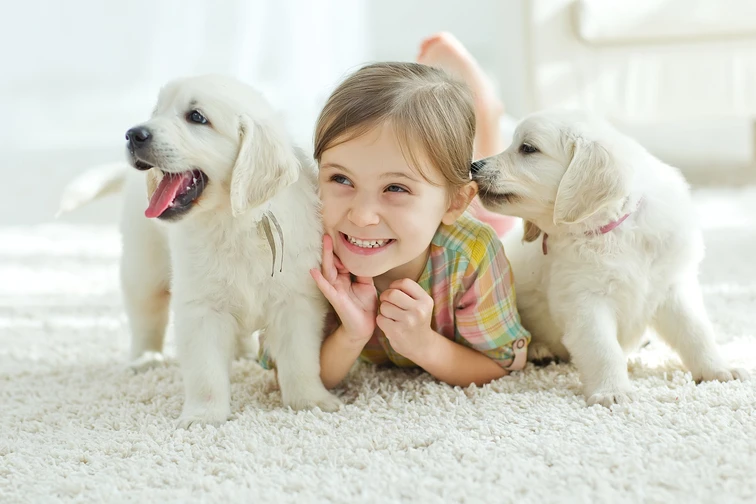 shutterstock_374801014